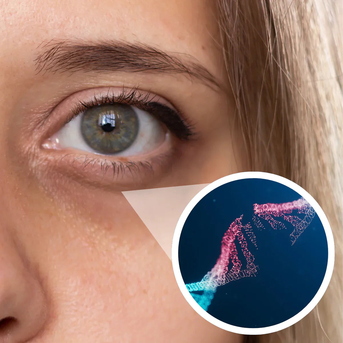 gempages_587309523023168491-af5be322-be99-4344-8159-255837db558b.webp__PID:8670ac42-49a1-4cec-b65b-25a765bb386f